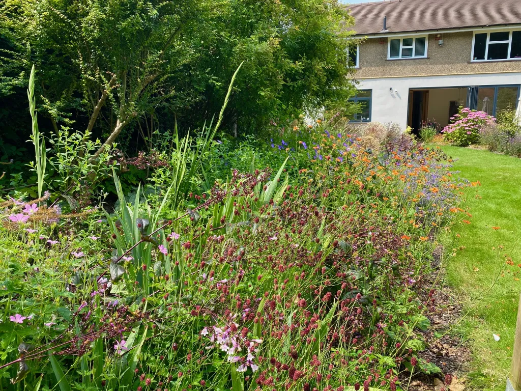 Garden design at Norfolk Avenue II, Sanderstead