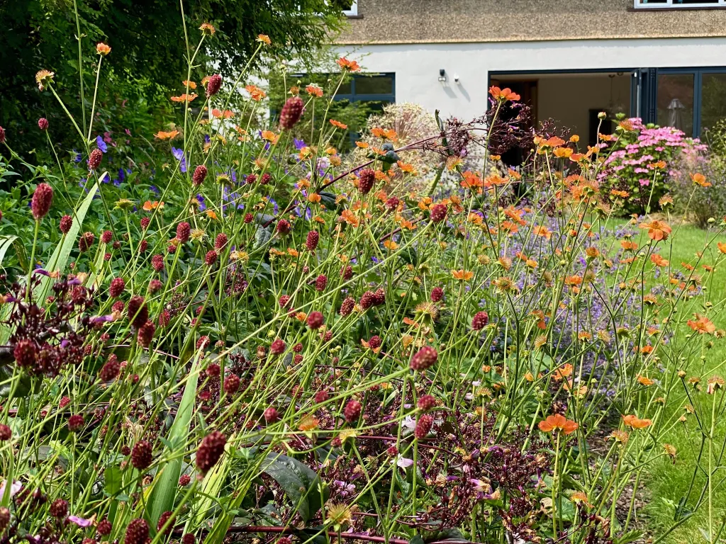 Garden design at Norfolk Avenue II, Sanderstead