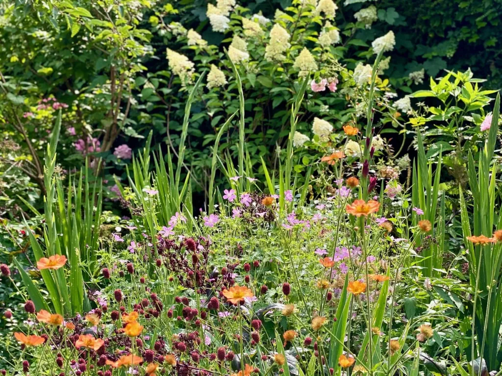 Garden design at Norfolk Avenue II, Sanderstead