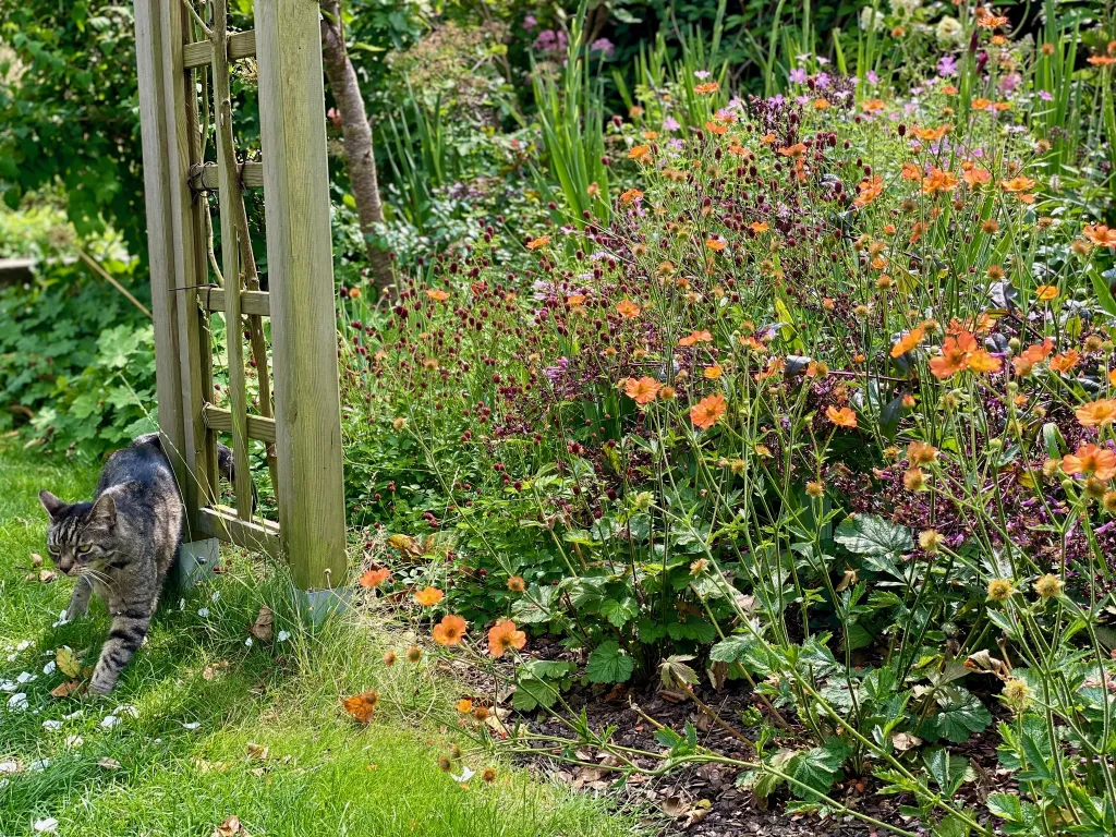 Garden design at Norfolk Avenue II, Sanderstead