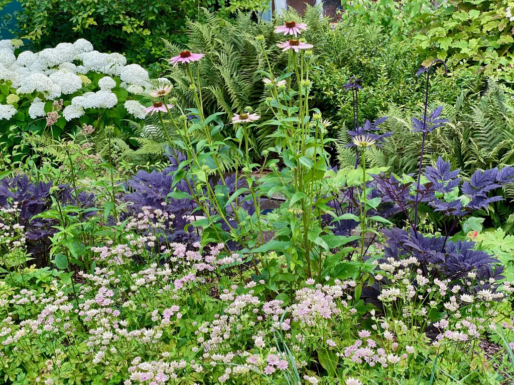 Garden design at Norfolk Avenue II, Sanderstead