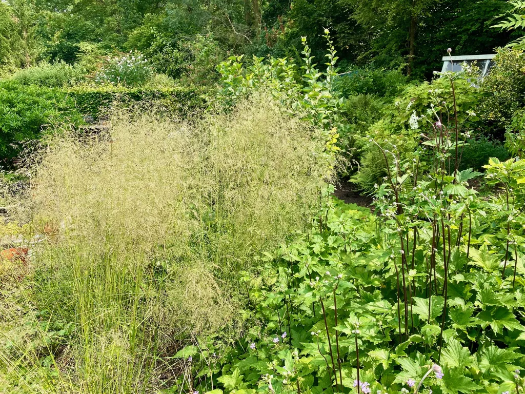 Garden design at Norfolk Avenue II, Sanderstead