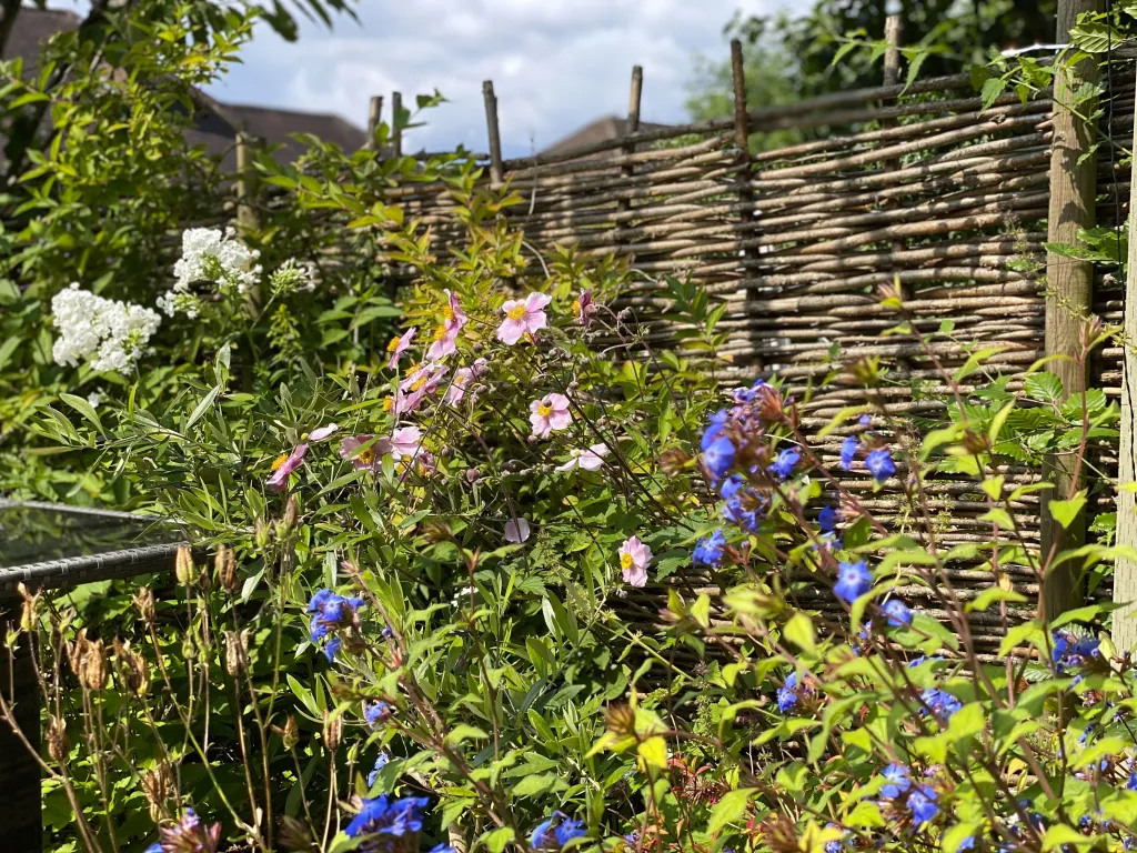 Garden design at Norfolk Avenue I, Sanderstead