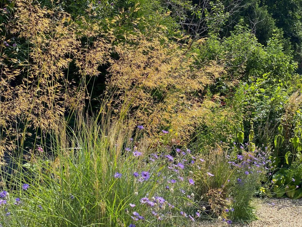 Garden design at Norfolk Avenue I, Sanderstead
