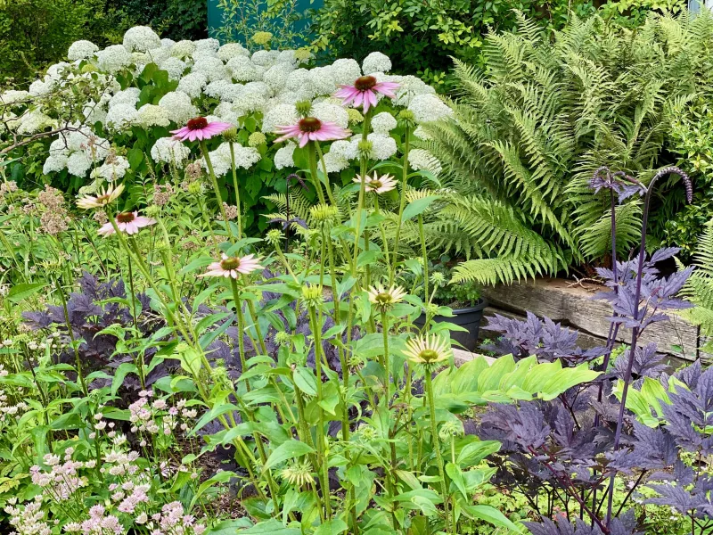 Garden design at Norfolk Avenue II, Sanderstead