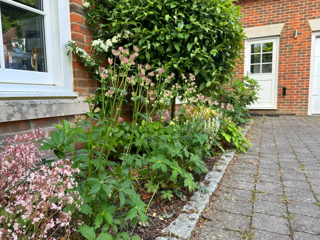 Garden design at Icehouse Wood II, Oxted
