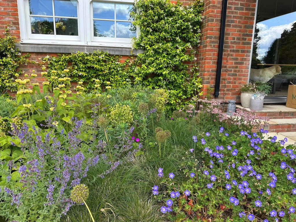 Garden design at Icehouse Wood II, Oxted