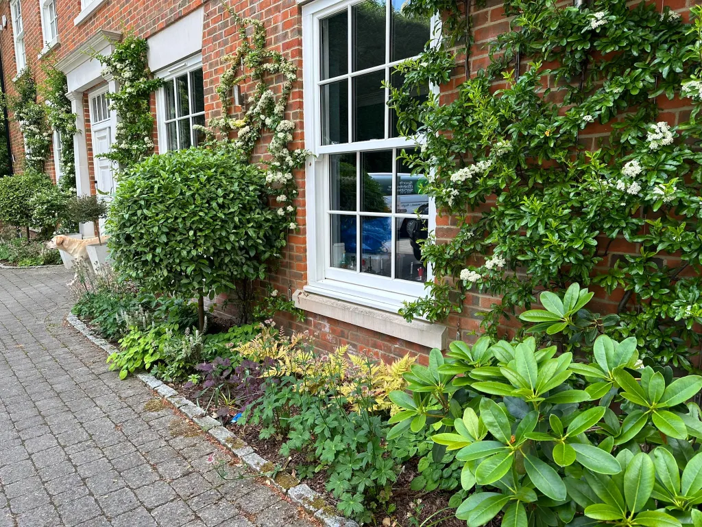 Garden design at Icehouse Wood II, Oxted