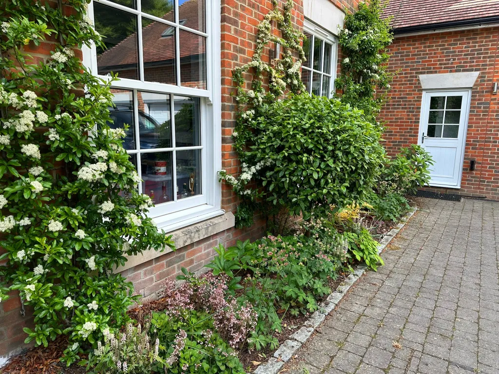 Garden design at Icehouse Wood II, Oxted