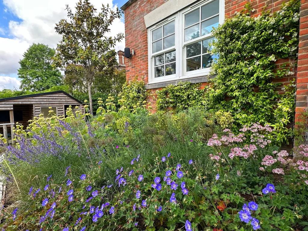 Garden design at Icehouse Wood II, Oxted