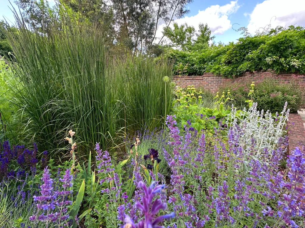 Garden design at Icehouse Wood II, Oxted