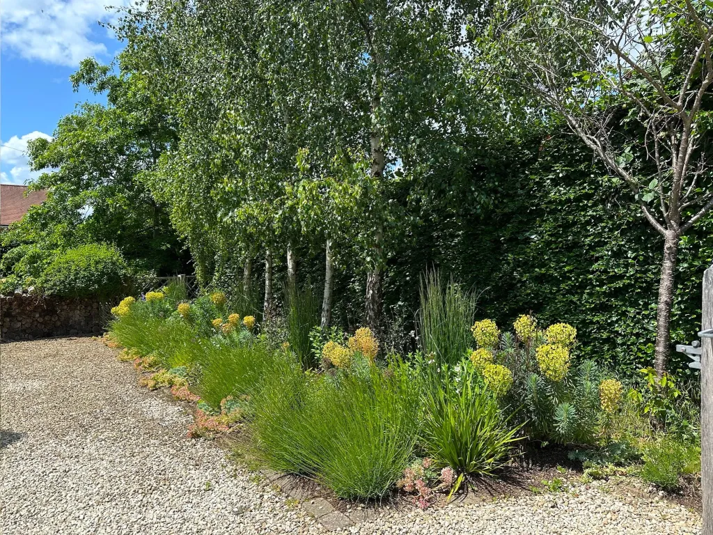Garden design at Bluehouse Lane II, Oxted