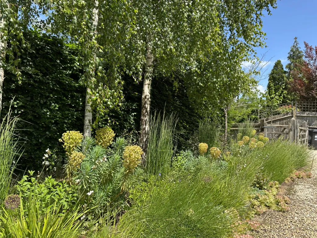Garden design at Bluehouse Lane II, Oxted