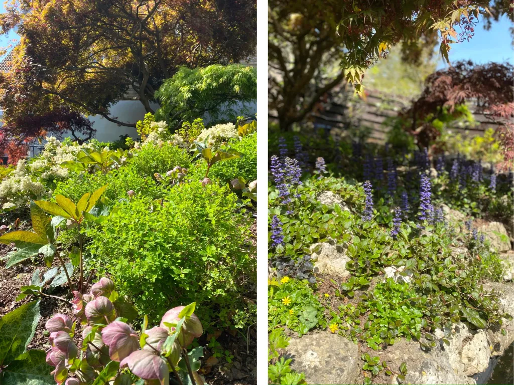 Garden design at Wynnstow Park, Oxted