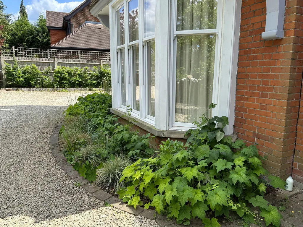 Garden design at Bluehouse Lane II, Oxted