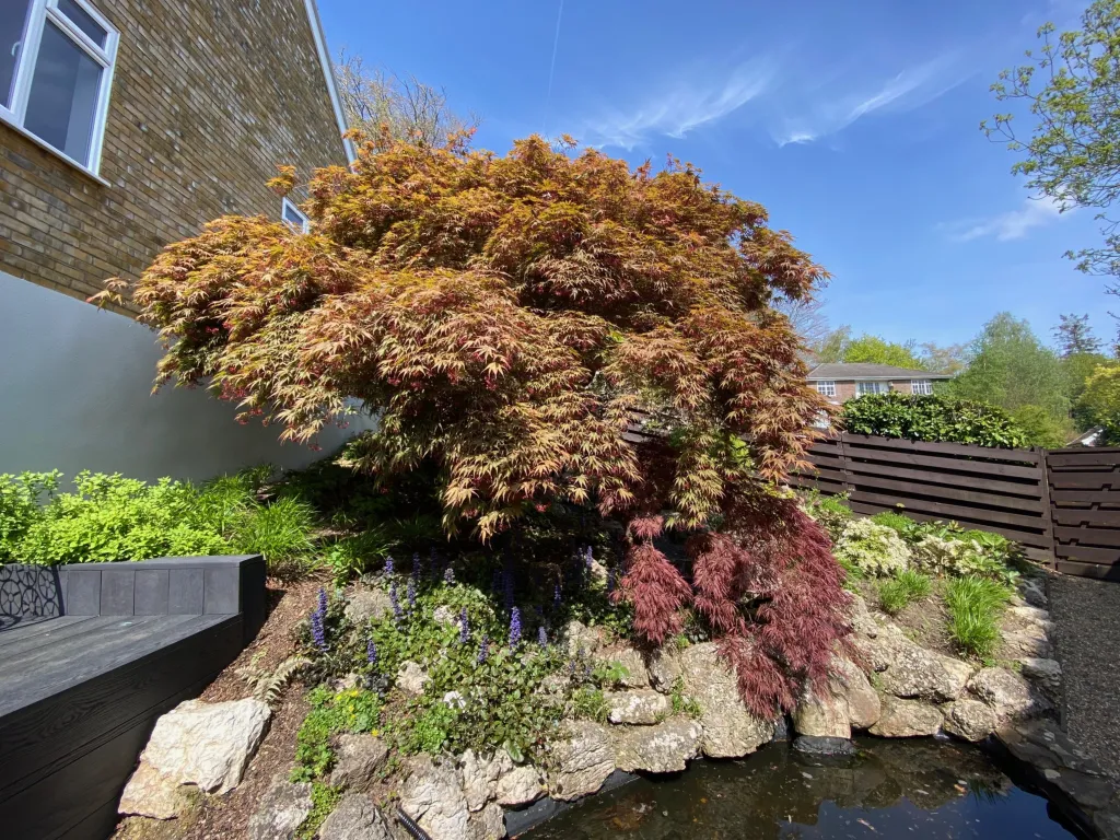 Garden design at Wynnstow Park, Oxted