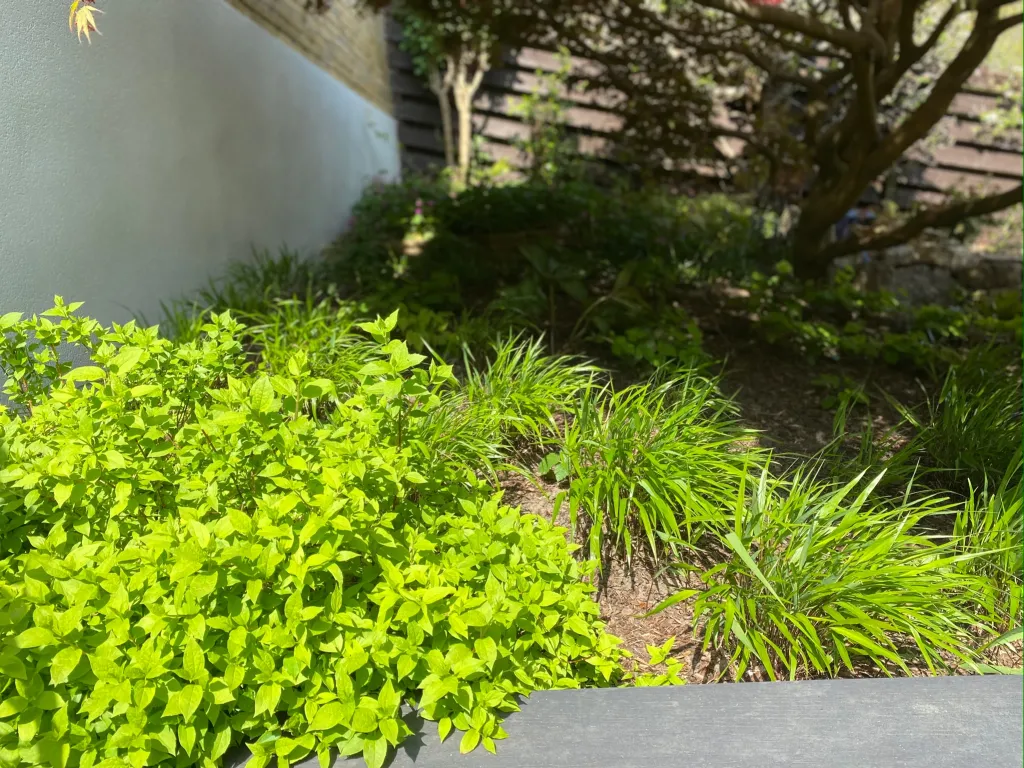 Garden design at Wynnstow Park, Oxted