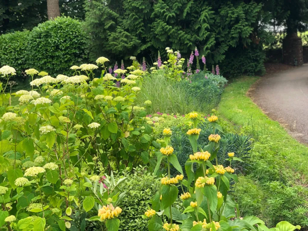 Garden design at Upper Court Road, Woldingham
