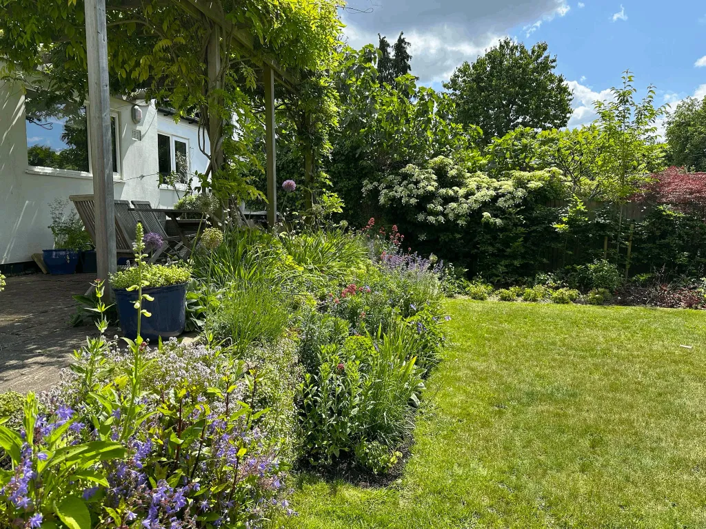 Garden design at Chichele Road, Oxted