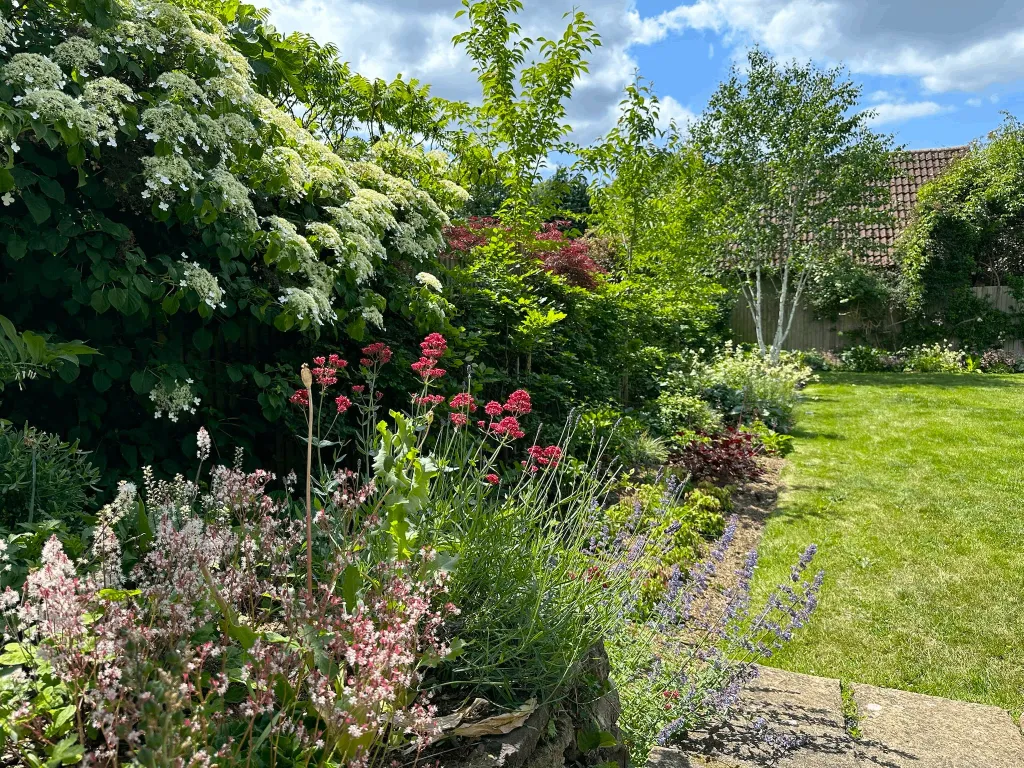Garden design at Chichele Road, Oxted