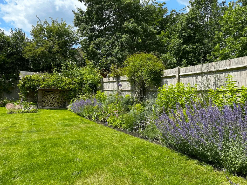 Garden design at Chichele Road, Oxted