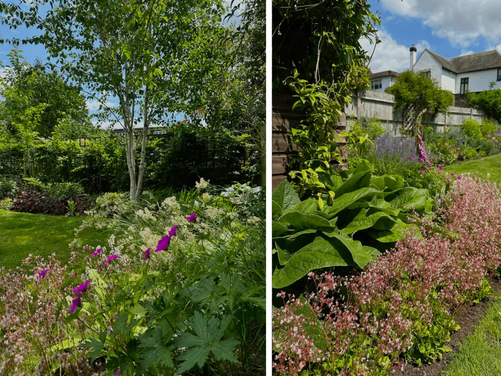 Garden design at Chichele Road, Oxted
