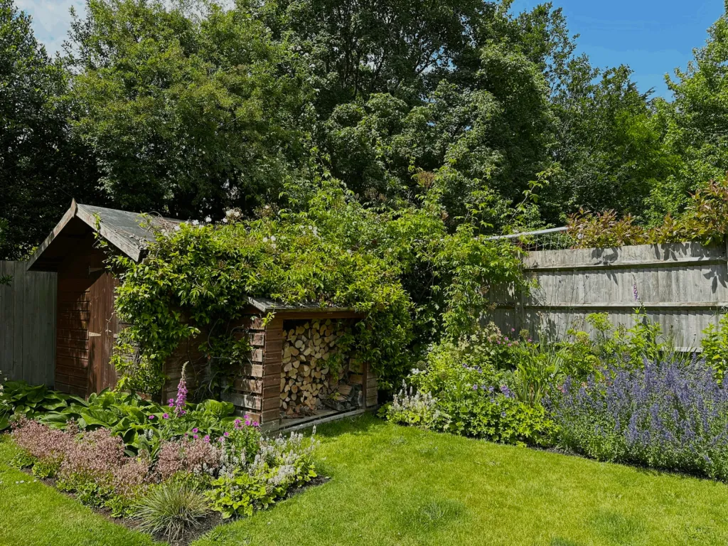 Garden design at Chichele Road, Oxted