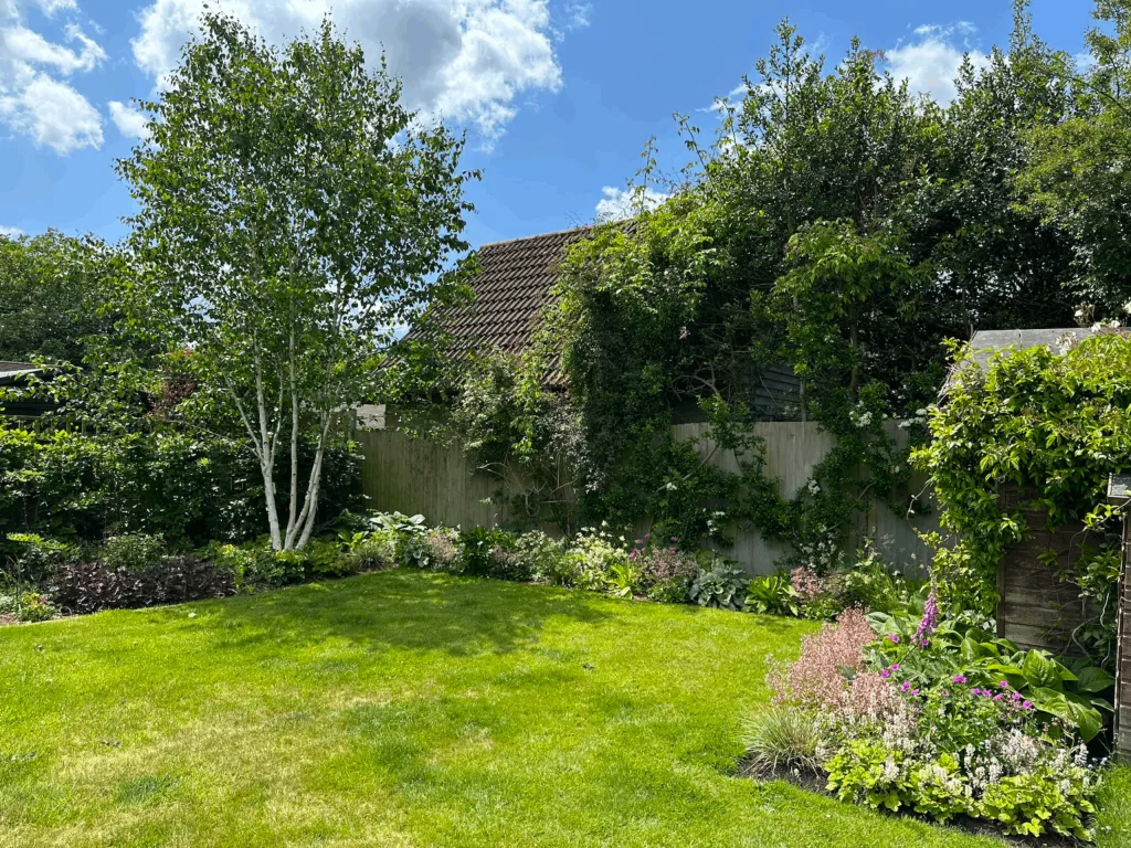Garden design at Chichele Road, Oxted