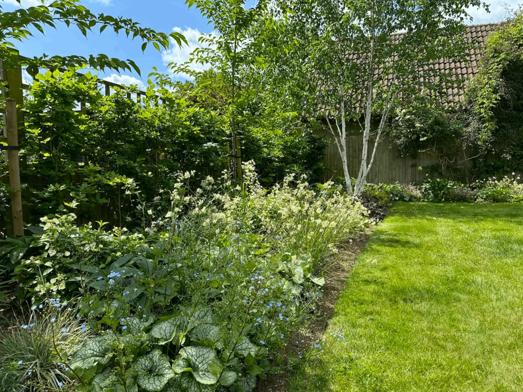 Garden design at Chichele Road, Oxted