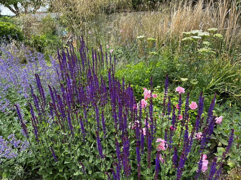 Garden design at Limpsfield High Street