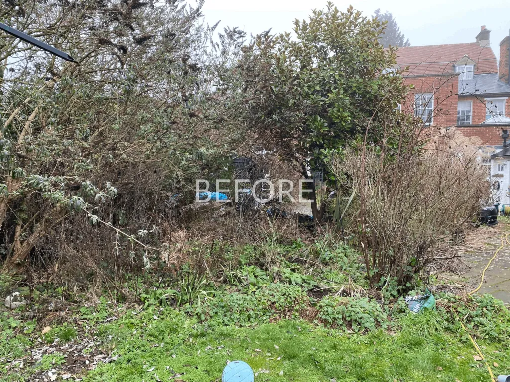 Garden design at Limpsfield High Street