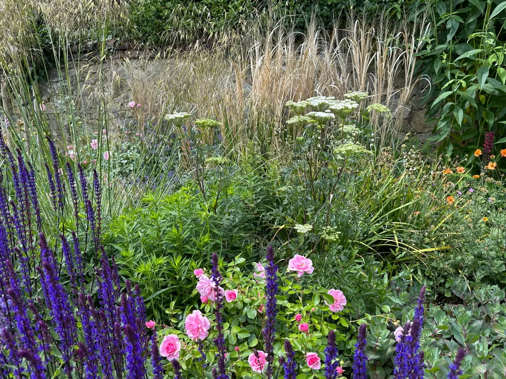 Garden design at Limpsfield High Street