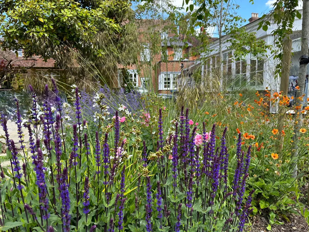 Garden design at Limpsfield High Street