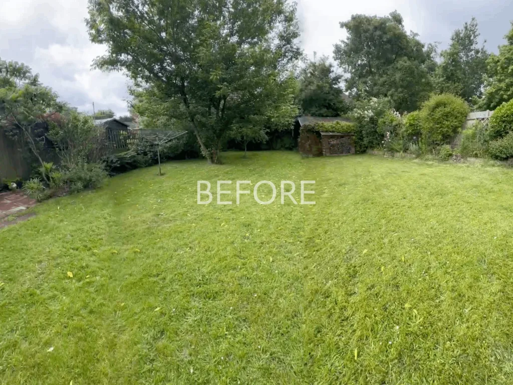Garden design at Chichele Road, Oxted