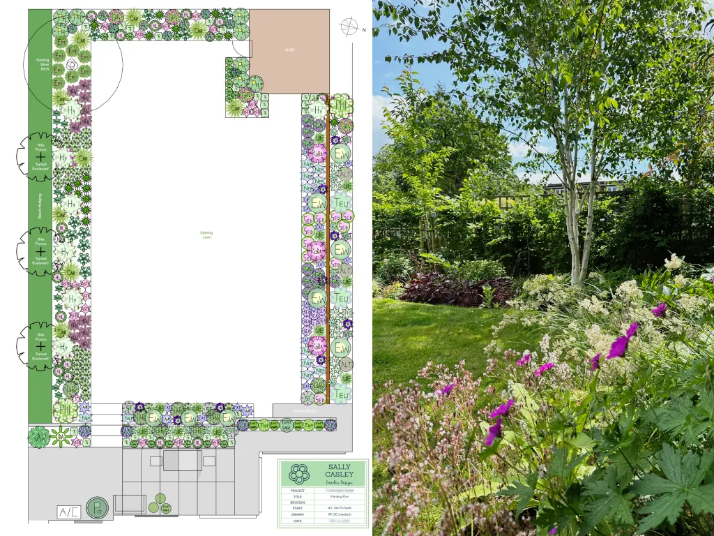 Garden design at Chichele Road, Oxted