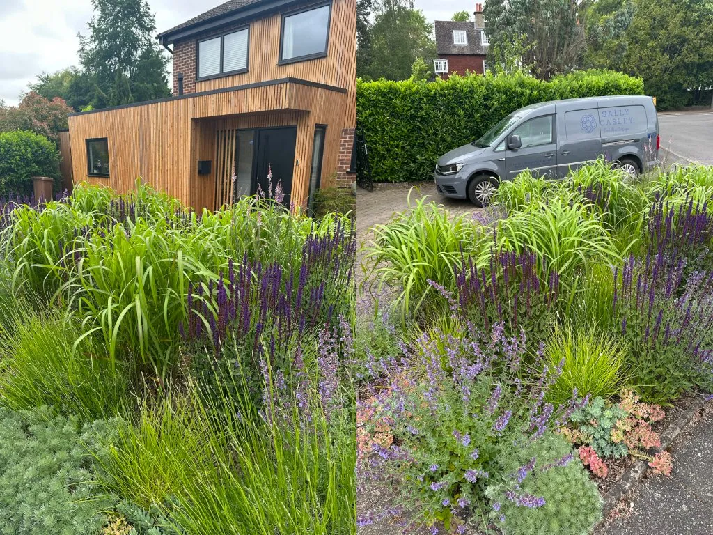 Garden design at Croydon Road II, Reigate