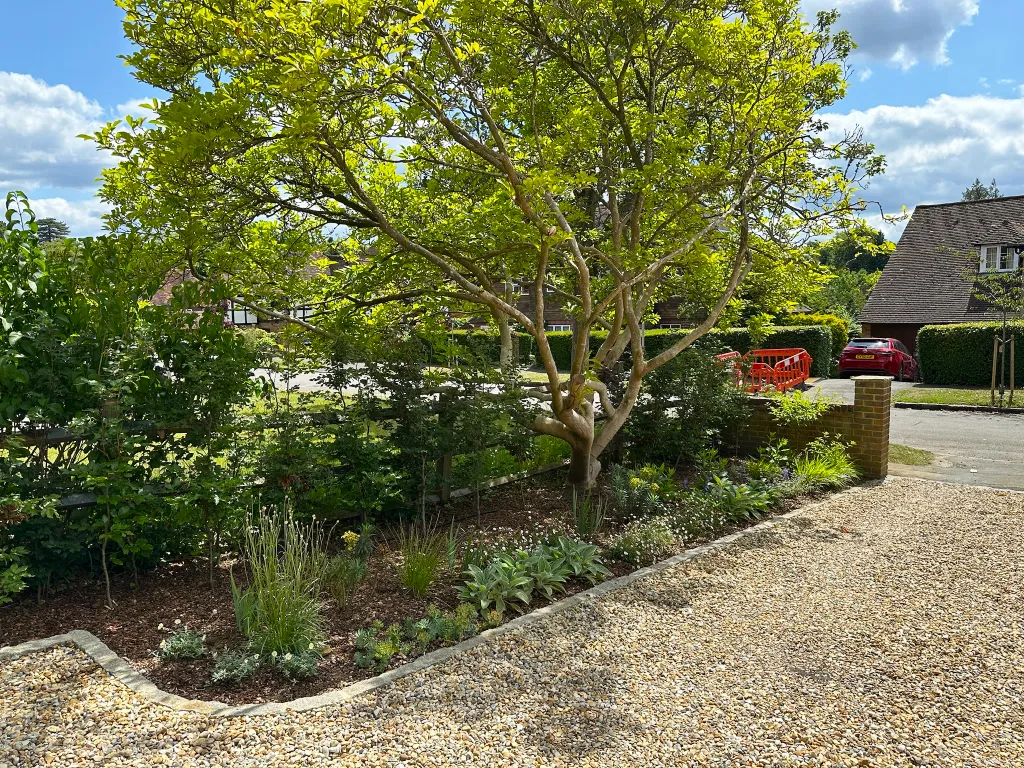 Garden design at Peter Avenue, Oxted