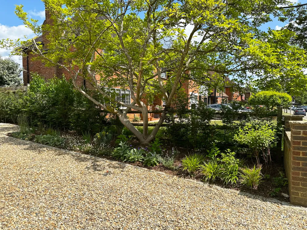 Garden design at Peter Avenue, Oxted