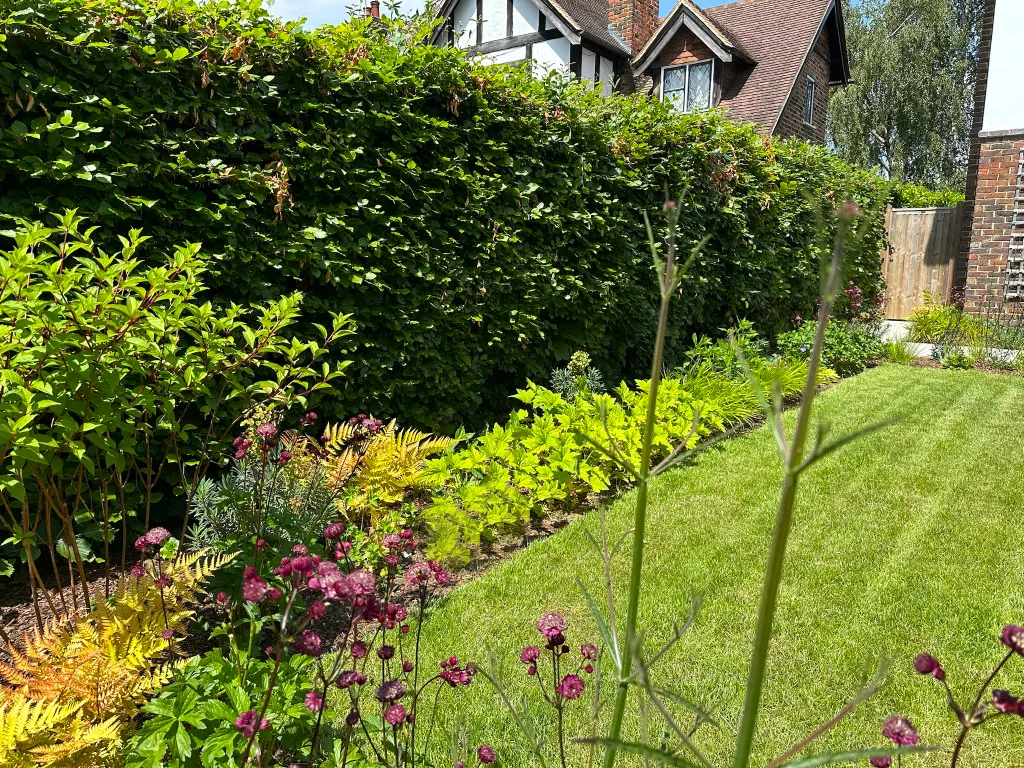 Garden design at Peter Avenue, Oxted