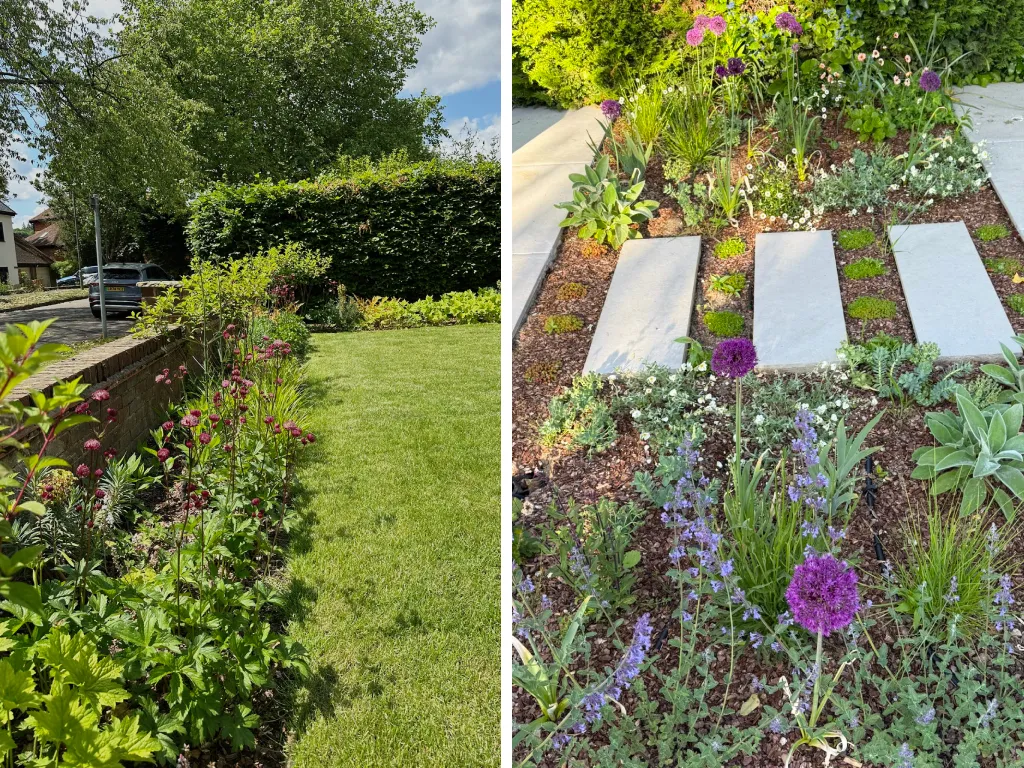Garden design at Peter Avenue, Oxted