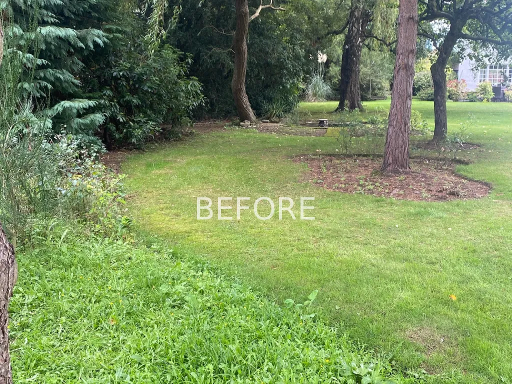 Garden design at Blackhall Lane, Sevenoaks