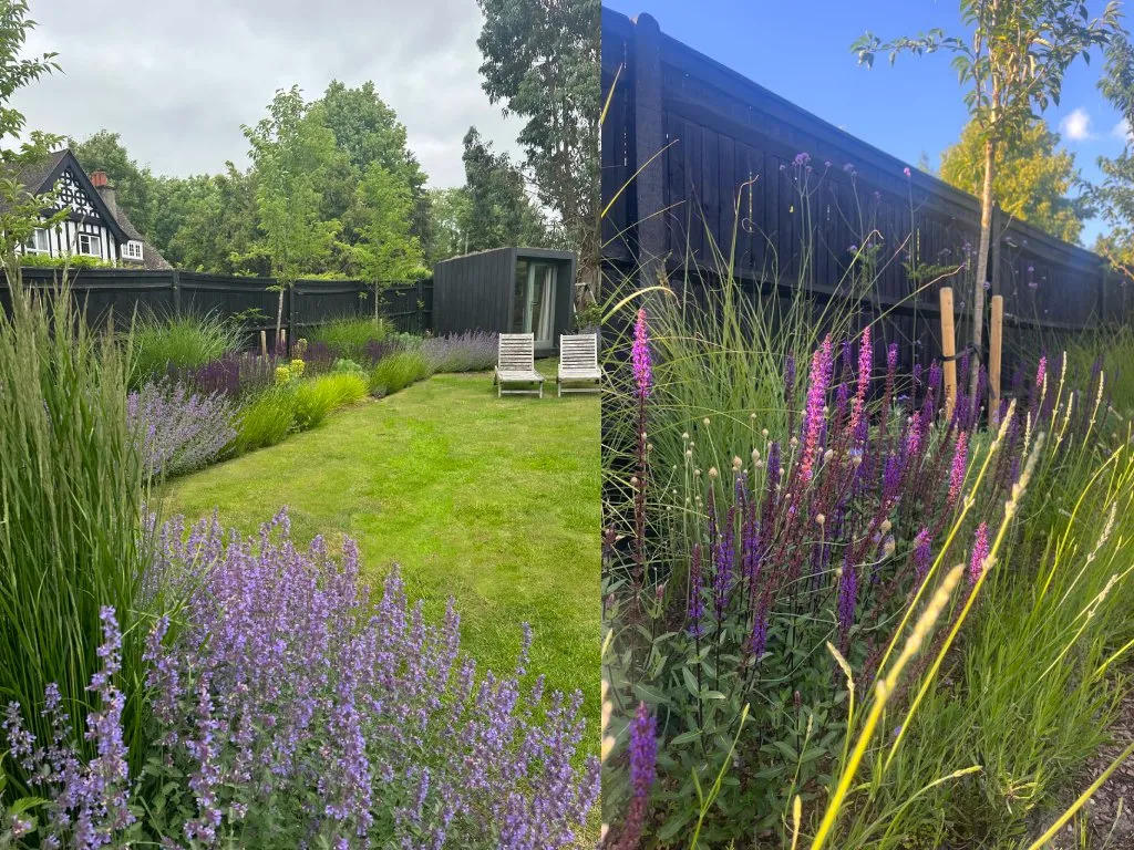 Garden design at Croydon Road II, Reigate