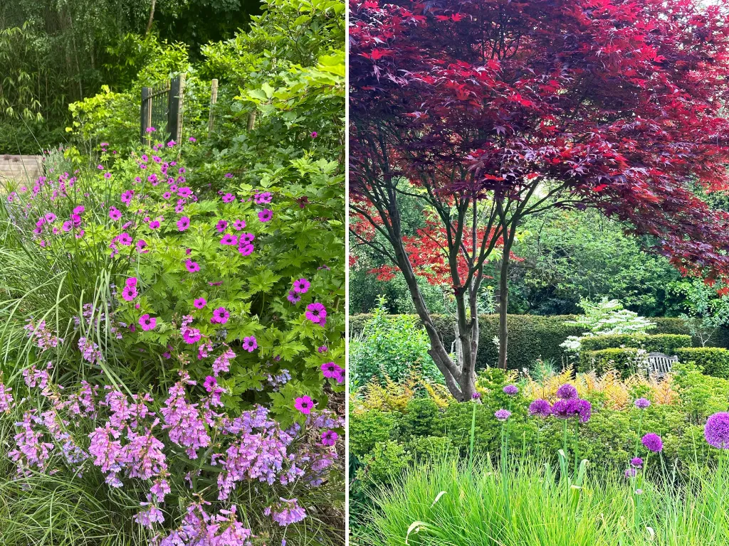 Garden design at Pains Hill II, Limpsfield