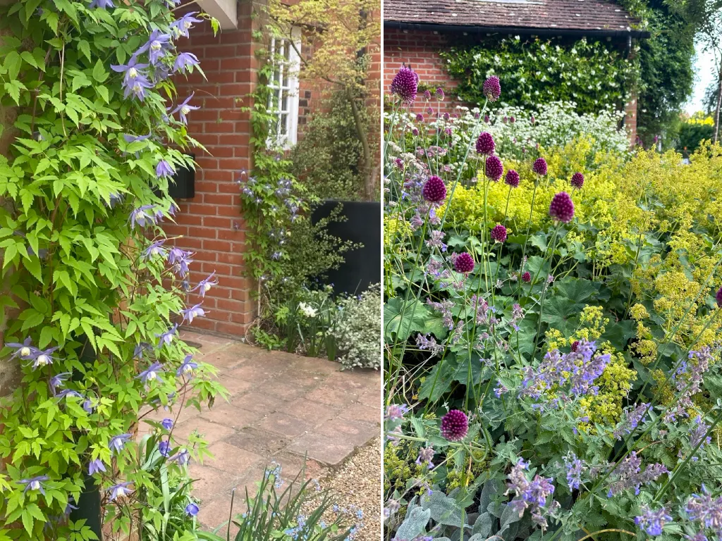 Garden design at Pains Hill II, Limpsfield