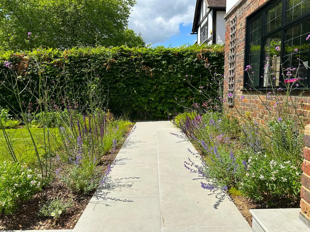 Garden design at Peter Avenue, Oxted