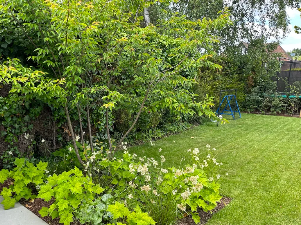 Garden design at Peter Avenue, Oxted