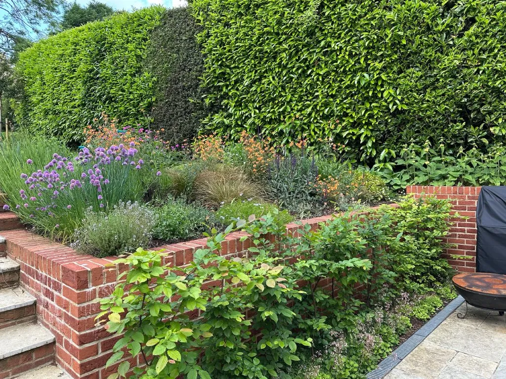 Garden design at Brassey Road, Oxted