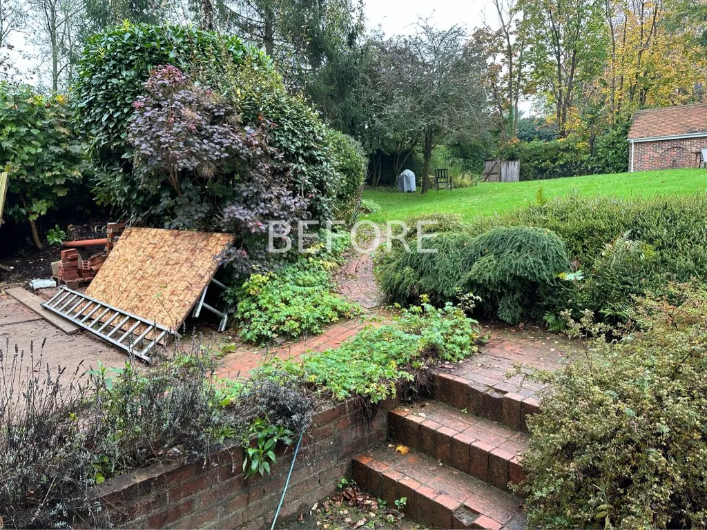 Garden design at Brassey Road, Oxted