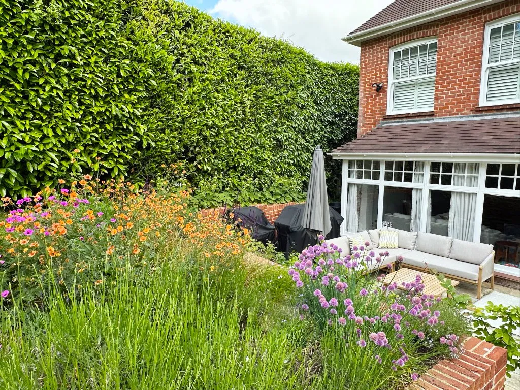 Garden design at Brassey Road, Oxted