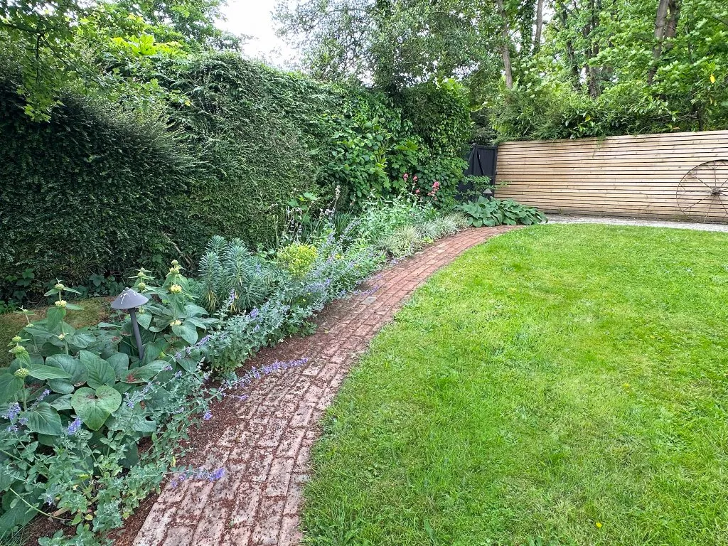 Garden design at Brassey Road, Oxted